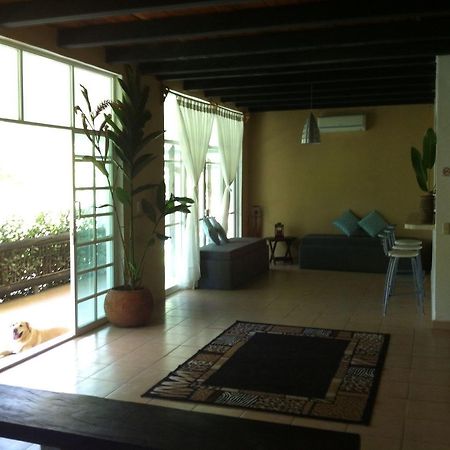 Casa Guacamaya Hotel Palenque Kültér fotó