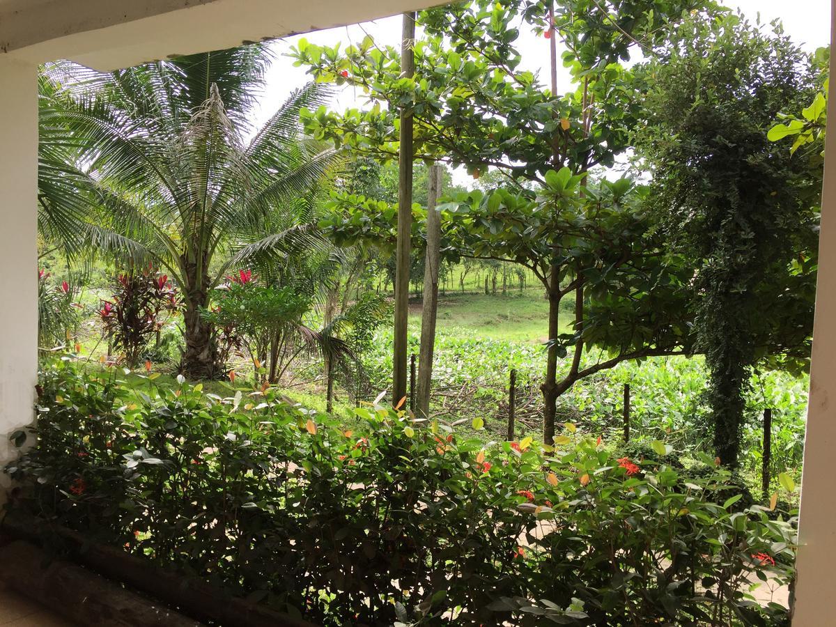Casa Guacamaya Hotel Palenque Kültér fotó